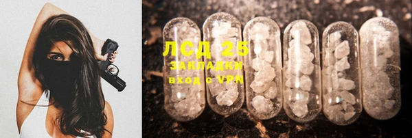 прущие грибы Балабаново