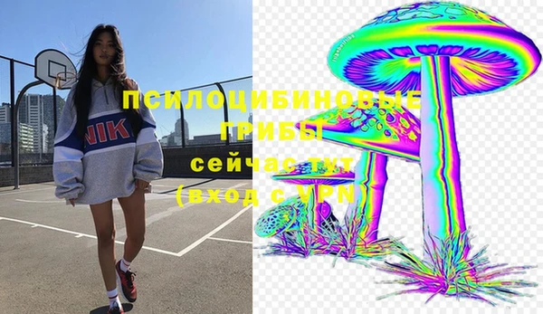 Альфа ПВП Баксан