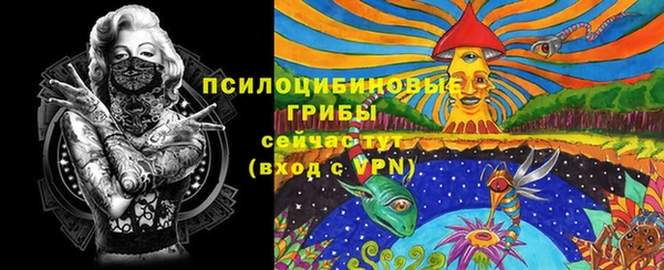 прущие грибы Балабаново
