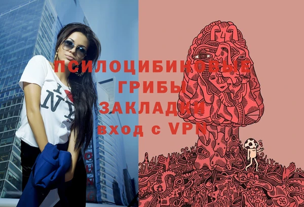 прущие грибы Балабаново