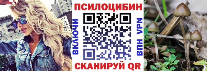 Галлюциногенные грибы Psilocybine cubensis  Дагестанские Огни 