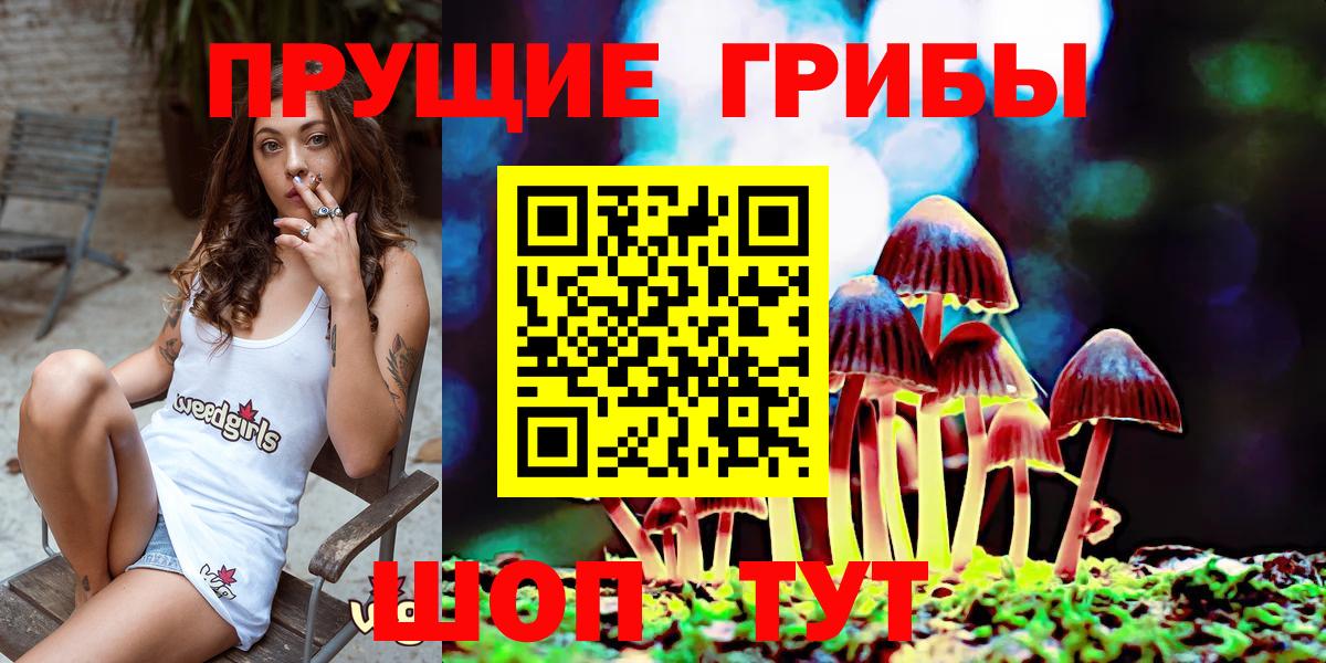 Дагестанские Огни  Псилоцибиновые грибы Psilocybe  Галлюциногенные грибы ЛСД  Вход с VPN 
